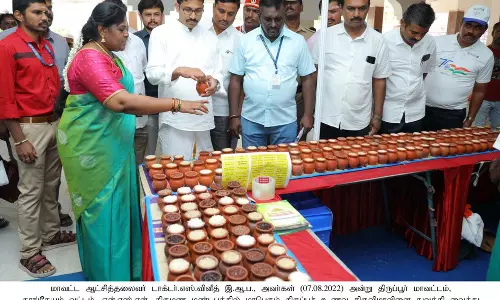 களை கட்டிய உணவு திருவிழா