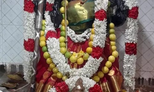 காளிகாம்பாள் கோவில் திருவிழா