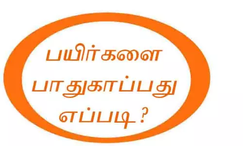 மழைக்காலங்களில் தோட்டக்கலை பயிர்களை பாதுகாப்பது எப்படி?