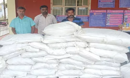 விற்பனைக்காக பதுக்கி வைத்திருந்த 250 கிலோ குட்கா பறிமுதல்