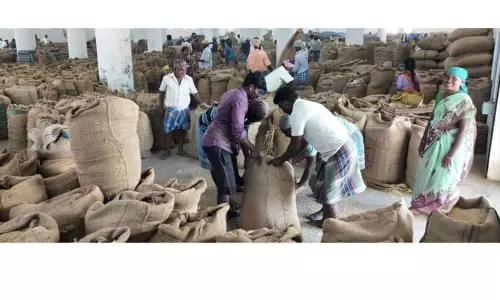 விருத்தாசலம் ஒழுங்குமுறை விற்பனை கூடத்துக்கு ஒரே நாளில் 10,100 நெல் மூட்டைகள் வரத்து விருத்தாசலம் ஒழுங்குமுறை விற்பனை கூடத்துக்கு ஒரே நாளில் 10,100 நெல் மூட்டைகள் வரத்து