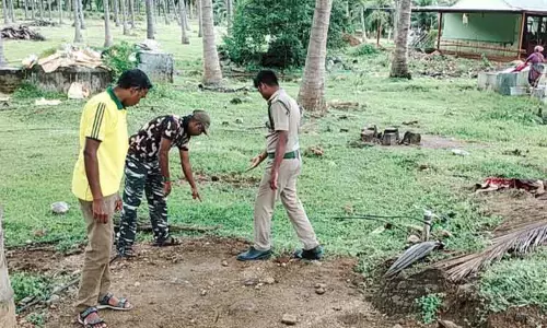 ஆழியாறில் சிறுத்தை நடமாட்டம்