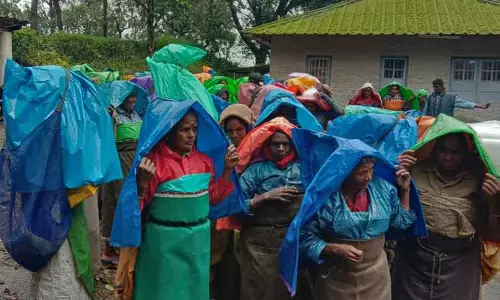 பணி நேரத்தை குறைக்கக்கோரி தோட்ட தொழிலாளர்கள் போராட்டம்