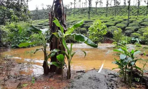 தோட்டங்களை சூழ்ந்த வெள்ளம்
