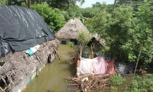 வீடுகளுக்கு திரும்ப முடியாமல் தவிக்கும் கொள்ளிடம் ஆற்றுப்படுகை கிராம மக்கள் வீடுகளுக்கு திரும்ப முடியாமல் தவிக்கும் கொள்ளிடம் ஆற்றுப்படுகை கிராம மக்கள்