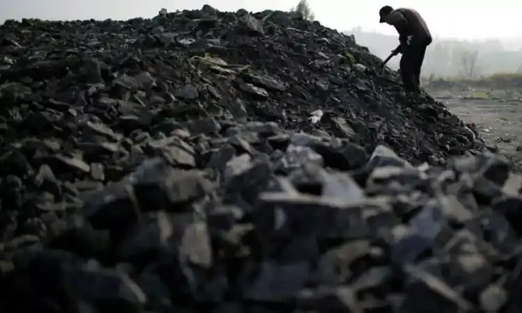 நிலக்கரி ஊழல் வழக்கு: நிலக்கரி துறை முன்னாள் செயலாளருக்கு 3 ஆண்டுகள் சிறைத் தண்டனை! - டெல்லி கோர்ட்டு தீர்ப்பு நிலக்கரி ஊழல் வழக்கு: நிலக்கரி துறை முன்னாள் செயலாளருக்கு 3 ஆண்டுகள் சிறைத் தண்டனை! - டெல்லி கோர்ட்டு தீர்ப்பு