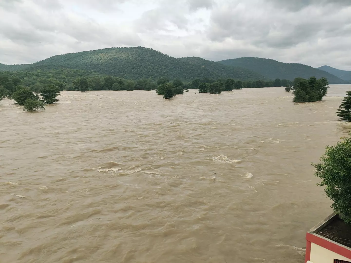 ஒகேனக்கல்லுக்கு நீர்வரத்து 1 லட்சத்து 45 ஆயிரம் கனஅடியாக அதிகரிப்பு போலீசார் தீவிர ரோந்து சென்று கண்காணிப்பு ஒகேனக்கல்லுக்கு நீர்வரத்து 1 லட்சத்து 45 ஆயிரம் கனஅடியாக அதிகரிப்பு போலீசார் தீவிர ரோந்து சென்று கண்காணிப்பு