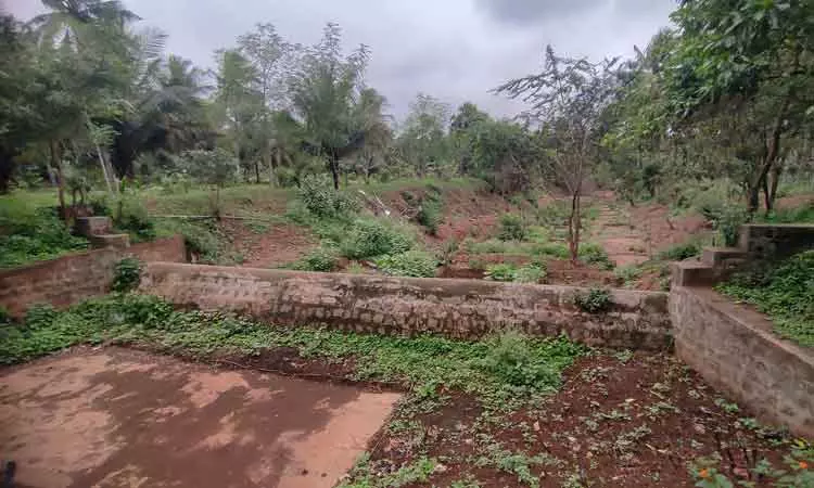 வறண்டு கிடக்கும் தடுப்பணைகள்