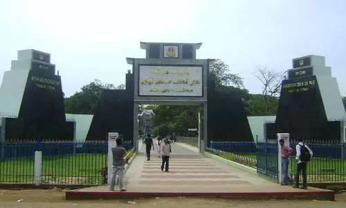 மொகரம் பண்டிகையையொட்டி வண்டலூர் உயிரியல் பூங்கா இன்று திறந்திருக்கும் - பூங்கா நிர்வாகம் மொகரம் பண்டிகையையொட்டி வண்டலூர் உயிரியல் பூங்கா இன்று திறந்திருக்கும் - பூங்கா நிர்வாகம்
