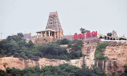 அர்த்தநாரீஸ்வரரை தாங்கும் ஆதிசேஷன் அர்த்தநாரீஸ்வரரை தாங்கும் ஆதிசேஷன்