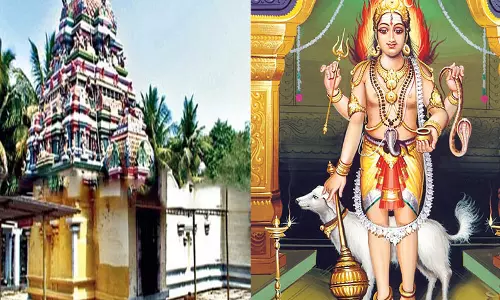சுகந்தவனேஸ்வரர் திருக்கோவில்- நவபாஷாண பைரவர் சுகந்தவனேஸ்வரர் திருக்கோவில்- நவபாஷாண பைரவர்