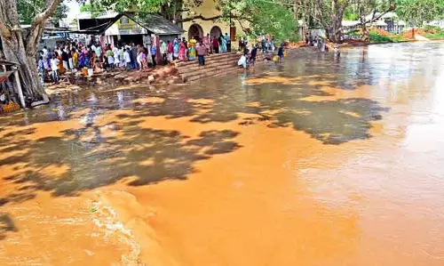 கோவையில் 8 குளங்கள் முழுமையாக நிரம்பின