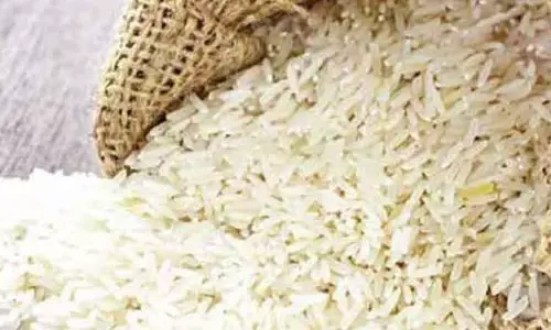 1 டன் ரேஷன் அரிசி பறிமுதல்