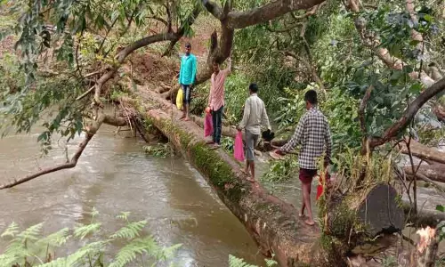 ஆற்றின் குறுக்கே விழுந்த மரத்தை   பாலமாக பயன்படுத்தும் கிராம மக்கள்