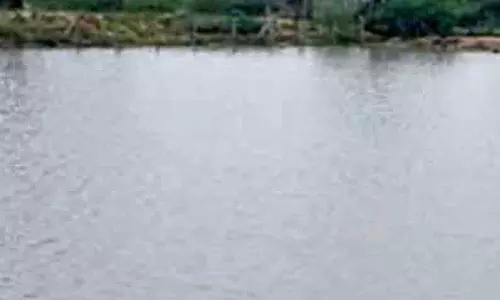 விவசாயத்திற்கு வைகை தண்ணீர் விவசாயத்திற்கு வைகை தண்ணீர்