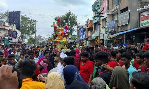 சங்கராபுரத்தில் சந்தனக்கூடு ஊர்வலம்