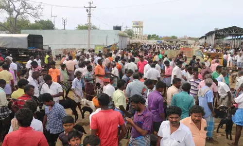 மேலப்பாளையம் சந்தையில் ஆடுகள் விற்பனை அமோகம்