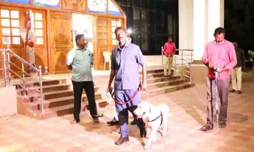 திருச்சி கலெக்டர் அலுவலகத்திற்கு வெடிகுண்டு மிரட்டல் திருச்சி கலெக்டர் அலுவலகத்திற்கு வெடிகுண்டு மிரட்டல்