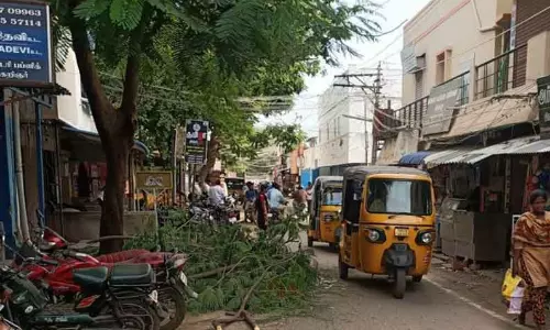 நடுரோட்டில் கிடக்கும் மரக்கிளைகளால் போக்குவரத்துக்கு இடையூறு