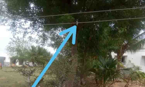 தினத்தந்தி புகார் பெட்டி தினத்தந்தி புகார் பெட்டி
