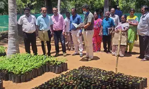 மத்திய அரசின் ஜல் சக்தி அபியான் திட்ட குழுவினர் ஆய்வு மத்திய அரசின் ஜல் சக்தி அபியான் திட்ட குழுவினர் ஆய்வு
