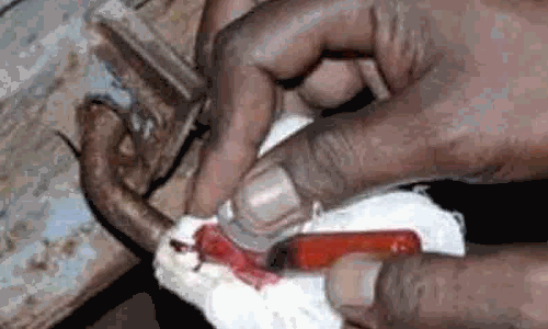 புகையிலை பொருட்கள் விற்ற கடைக்கு சீல்