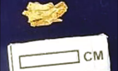 சிவகளை அகழாய்வில் தங்கப்பொருள் கண்டுபிடிப்பு