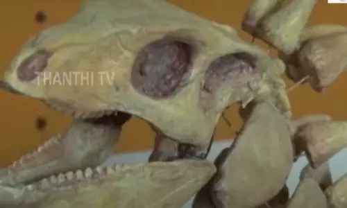 அர்ஜெண்டினா: 10 கோடி ஆண்டுகளுக்கு முன்பு பூமியில் வாழ்ந்த டைனோசரின் புதை படிமங்கள் கண்டுபிடிப்பு ! அர்ஜெண்டினா: 10 கோடி ஆண்டுகளுக்கு முன்பு பூமியில் வாழ்ந்த டைனோசரின் புதை படிமங்கள் கண்டுபிடிப்பு !