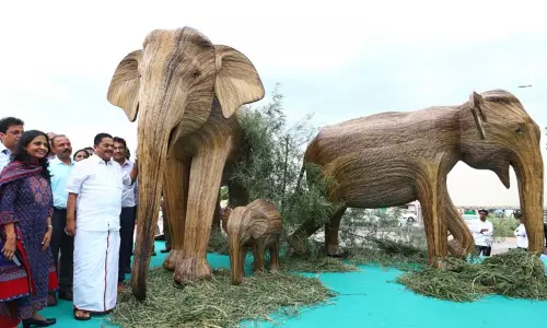 உலக யானைகள் தினம்: உண்ணி செடிகளால் வடிவமைக்கப்பட்ட யானைகளின் சிற்பம் - அமைச்சர் க.ராமச்சந்திரன் திறந்து வைத்தார் உலக யானைகள் தினம்: உண்ணி செடிகளால் வடிவமைக்கப்பட்ட யானைகளின் சிற்பம் - அமைச்சர் க.ராமச்சந்திரன் திறந்து வைத்தார்