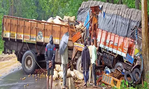 லாரிகள் நேருக்கு நேர் மோதி விபத்து; ஒருவர் பலி