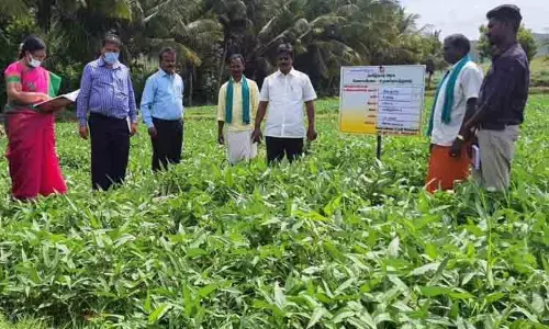 வேளாண் வளர்ச்சி திட்ட பணிகளை இணை இயக்குனர் ஆய்வு வேளாண் வளர்ச்சி திட்ட பணிகளை இணை இயக்குனர் ஆய்வு