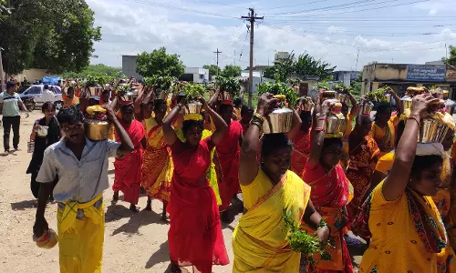 எஸ்.வாழவந்தி மாரியம்மன், செல்லாண்டியம்மன் கோவிலில் பால்குட ஊர்வலம் எஸ்.வாழவந்தி மாரியம்மன், செல்லாண்டியம்மன் கோவிலில் பால்குட ஊர்வலம்