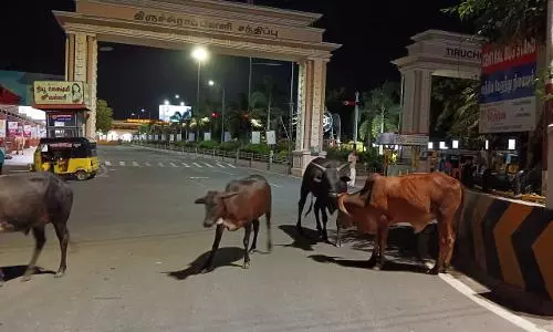 தினத்தந்தி புகார் பெட்டி தினத்தந்தி புகார் பெட்டி