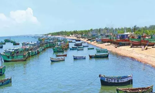 விசைப்படகு மீனவர்கள் இன்று கடலுக்கு மீன்பிடிக்க செல்கின்றனர் விசைப்படகு மீனவர்கள் இன்று கடலுக்கு மீன்பிடிக்க செல்கின்றனர்