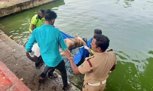 தெப்பக்குளத்தில்   அழுகிய நிலையில் பெண் பிணம்