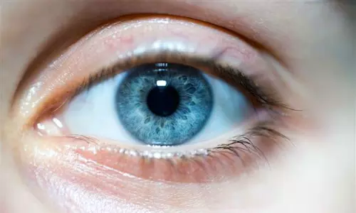 பன்றியின் தோலில் இருந்து உருவாக்கப்பட்ட கருவிழியை மனிதர்களுக்கு பொருத்தி ஆராய்ச்சியாளர்கள் சாதனை!