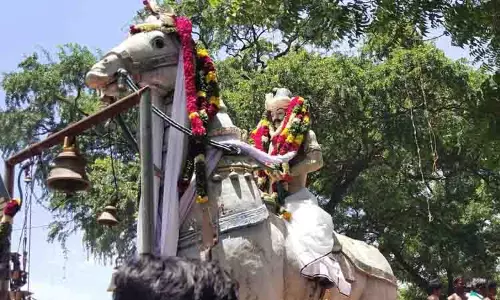 கரையூரான் நீலமேகம் கோவிலில் ஆடி சிறப்பு பூஜை