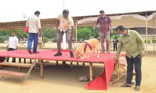 சுதந்திர தின விழா: கோவை மாநகரில் 3 அடுக்கு போலீஸ் பாதுகாப்பு- 68 வாகனங்களில் போலீசார் தீவிர ரோந்து பணி