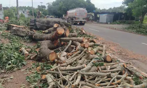 பல்லடம் ரோட்டில் விபத்துகளை தடுக்க  ரூ.2 கோடியில் 4 வழிச்சாலையாக மாற்றம்-மரங்களை வெட்டாமல் மறுநடவு செய்ய திட்டம்