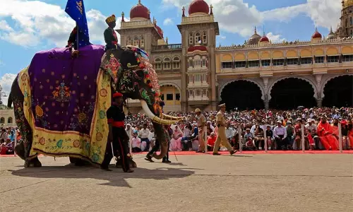 அரண்மனையில் இருந்து 5 கி.மீ. தூரம் வரை  தசரா யானைகளுக்கு, நடைபயிற்சி தொடங்கியது