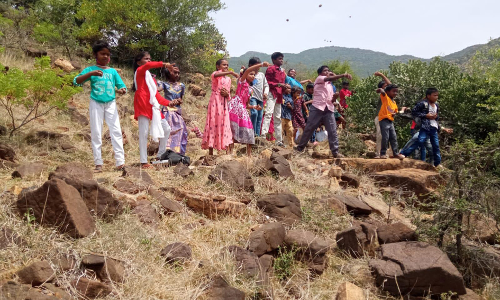 தலைமலையில் விதை பந்துகள் வீச்சு