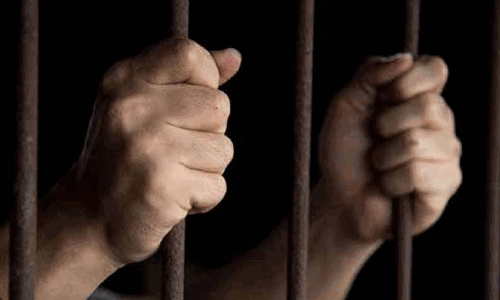 பெண்ணிடம் சங்கிலி பறித்த 2 பேருக்கு தலா 7 ஆண்டுகள் சிறை தண்டனை பெண்ணிடம் சங்கிலி பறித்த 2 பேருக்கு தலா 7 ஆண்டுகள் சிறை தண்டனை