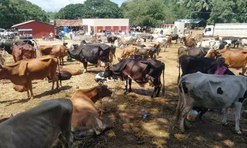 தமிழக-கேரள எல்லையில் கண்காணிப்பை தீவிரப்படுத்த வேண்டும் தமிழக-கேரள எல்லையில் கண்காணிப்பை தீவிரப்படுத்த வேண்டும்