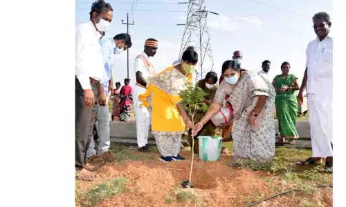 புதை உயிரிப்படிவ அருங்காட்சியக  வளாகத்தில் மரக்கன்றுகள் நடவு