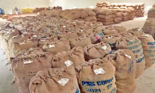 கொப்பரை தேங்காய் கொள்முதல் நீட்டிக்கப்படுமா?