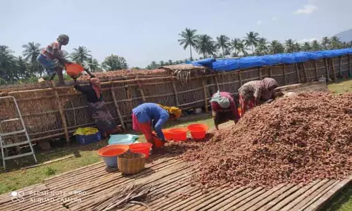 சின்னவெங்காயத்தை பட்டறையில் இருப்பு வைக்கும் விவசாயிகள்