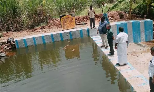 வளர்ச்சி பணிகளை திட்ட இயக்குனர் ஆய்வு