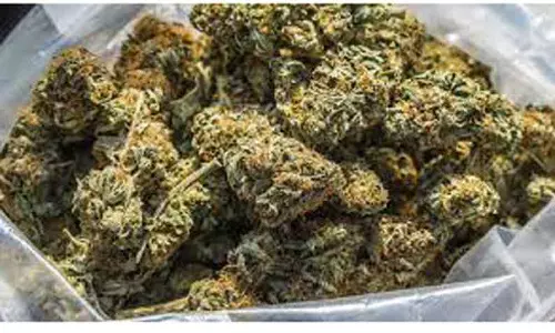 ரெயிலில் கடத்திய 4 கிலோ கஞ்சா பறிமுதல்