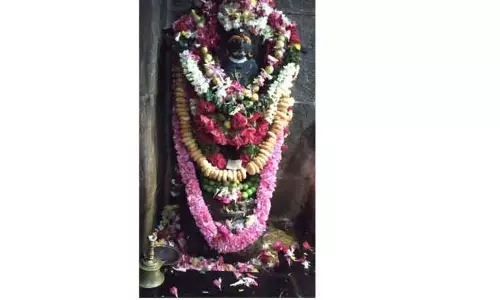 கால பைரவருக்கு தேய்பிறை அஷ்டமி வழிபாடு