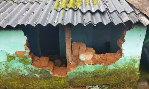 4 வீடுகளை உடைத்து காட்டுயானைகள் அட்டகாசம்